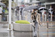 台风“小犬”逼近雷州半岛与海南东部，广州受其外围影响出现阵雨