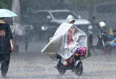 台风“小犬”逼近雷州半岛与海南东部，广州受其外围影响出现阵雨