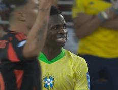 168娱乐-强烈不满！美洲杯再现争议：巴西队围堵裁判，主教练挥拳怒指抗议